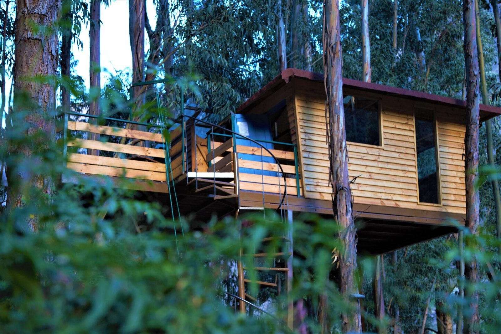 Casa en los Árboles (a 6 metros de altura)