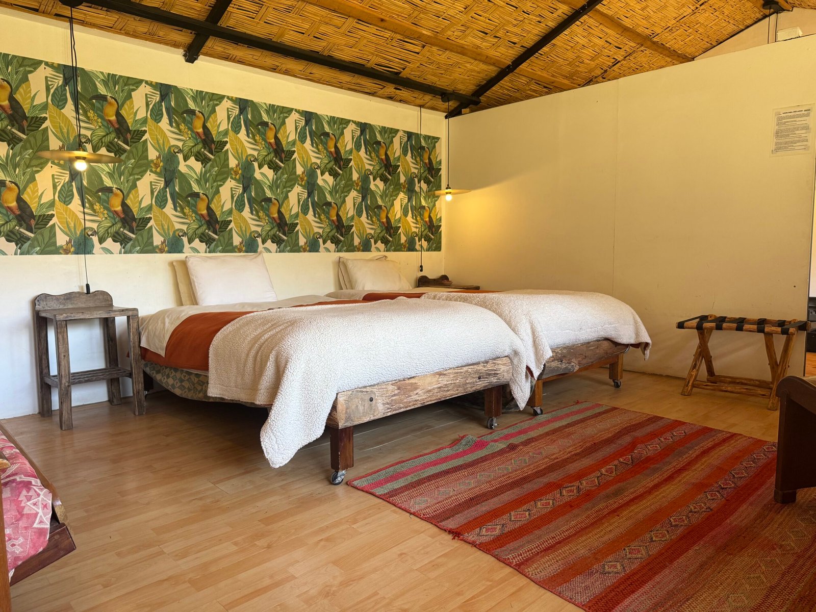 Suite Panorámica + Barbecue, Desayuno y Fogata - Image 3