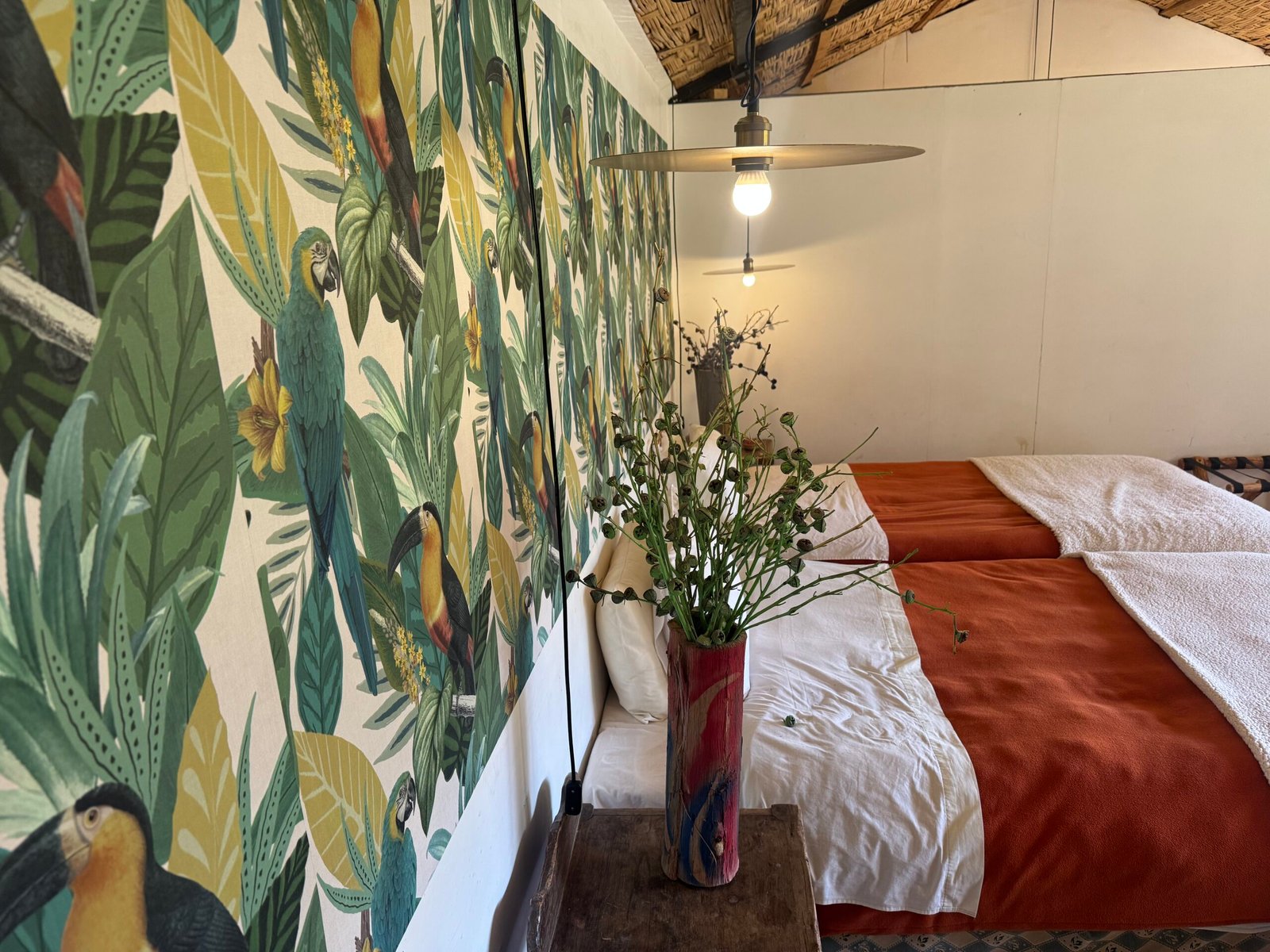 Suite Panorámica + Barbecue, Desayuno y Fogata - Image 4