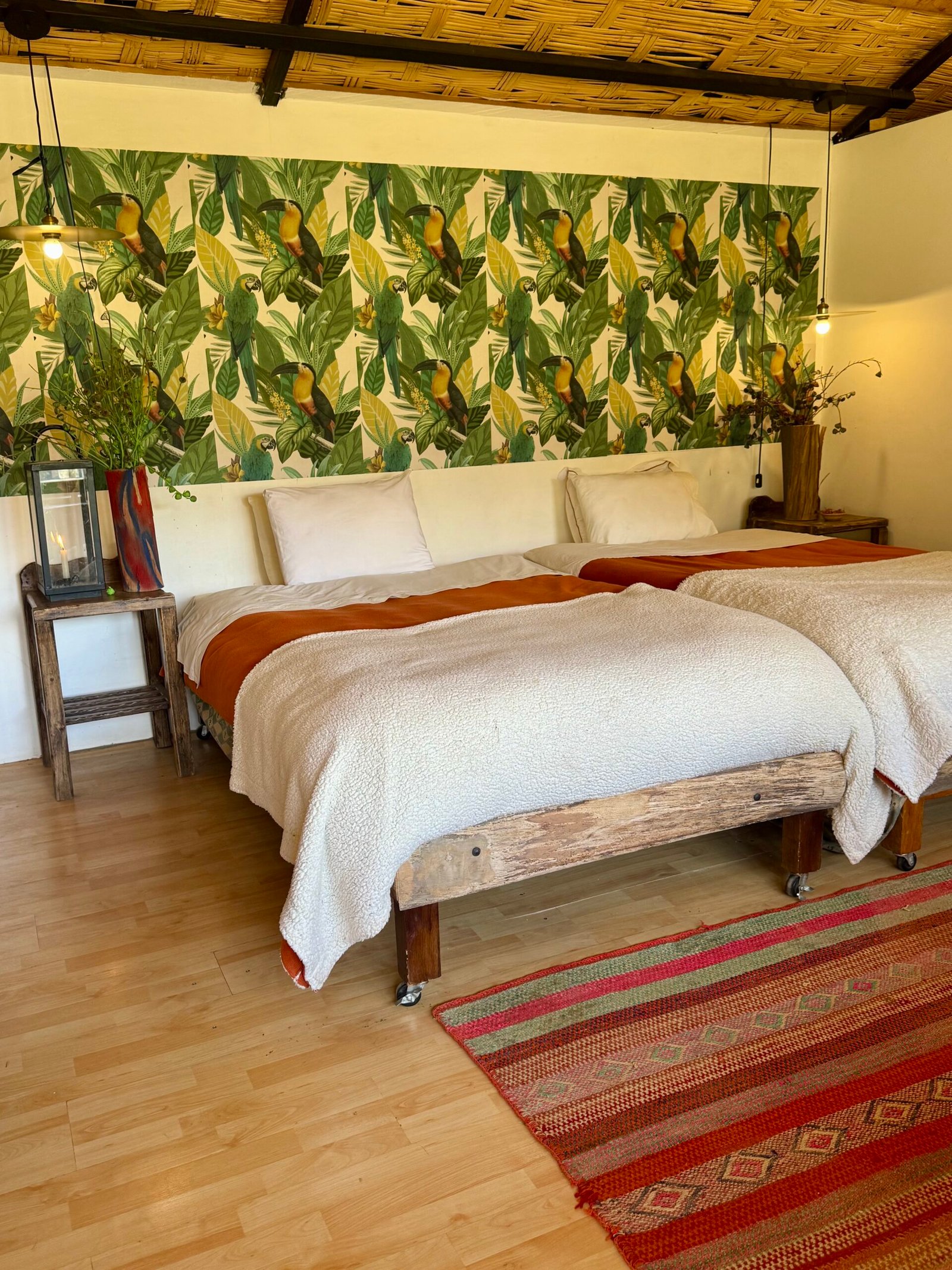 Suite Panorámica + Barbecue, Desayuno y Fogata - Image 5