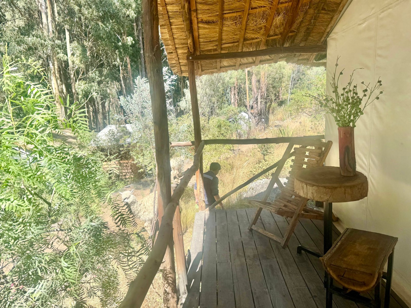 Suite Panorámica + Barbecue, Desayuno y Fogata - Image 10