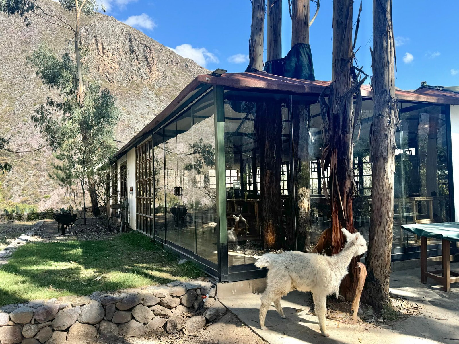 Suite Panorámica + Barbecue, Desayuno y Fogata - Image 9