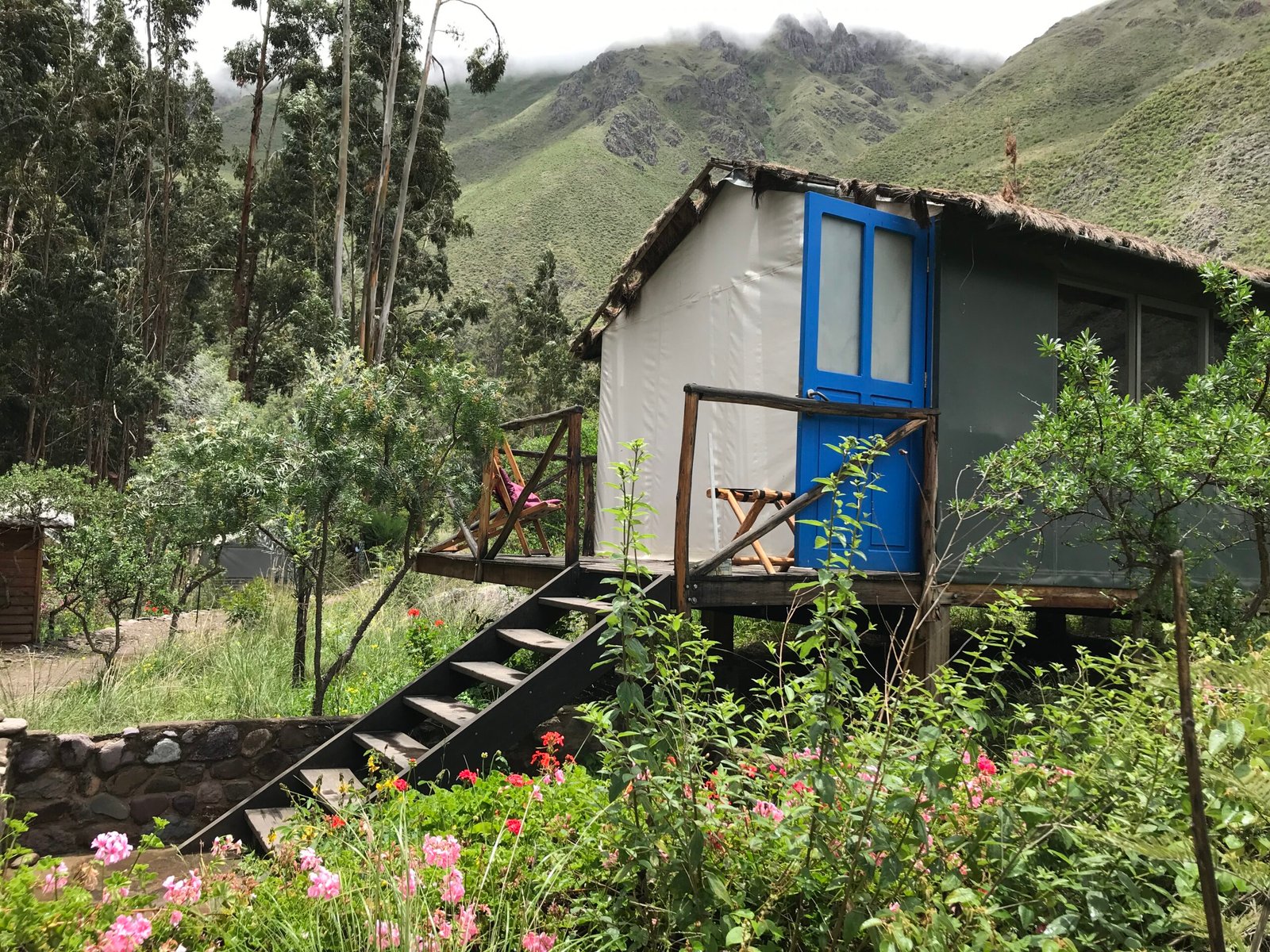 Suite Panorámica + Barbecue, Desayuno y Fogata - Image 8