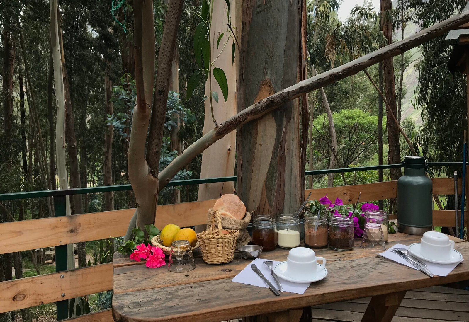 Casa en los Árboles + Desayuno y fogata - Image 3