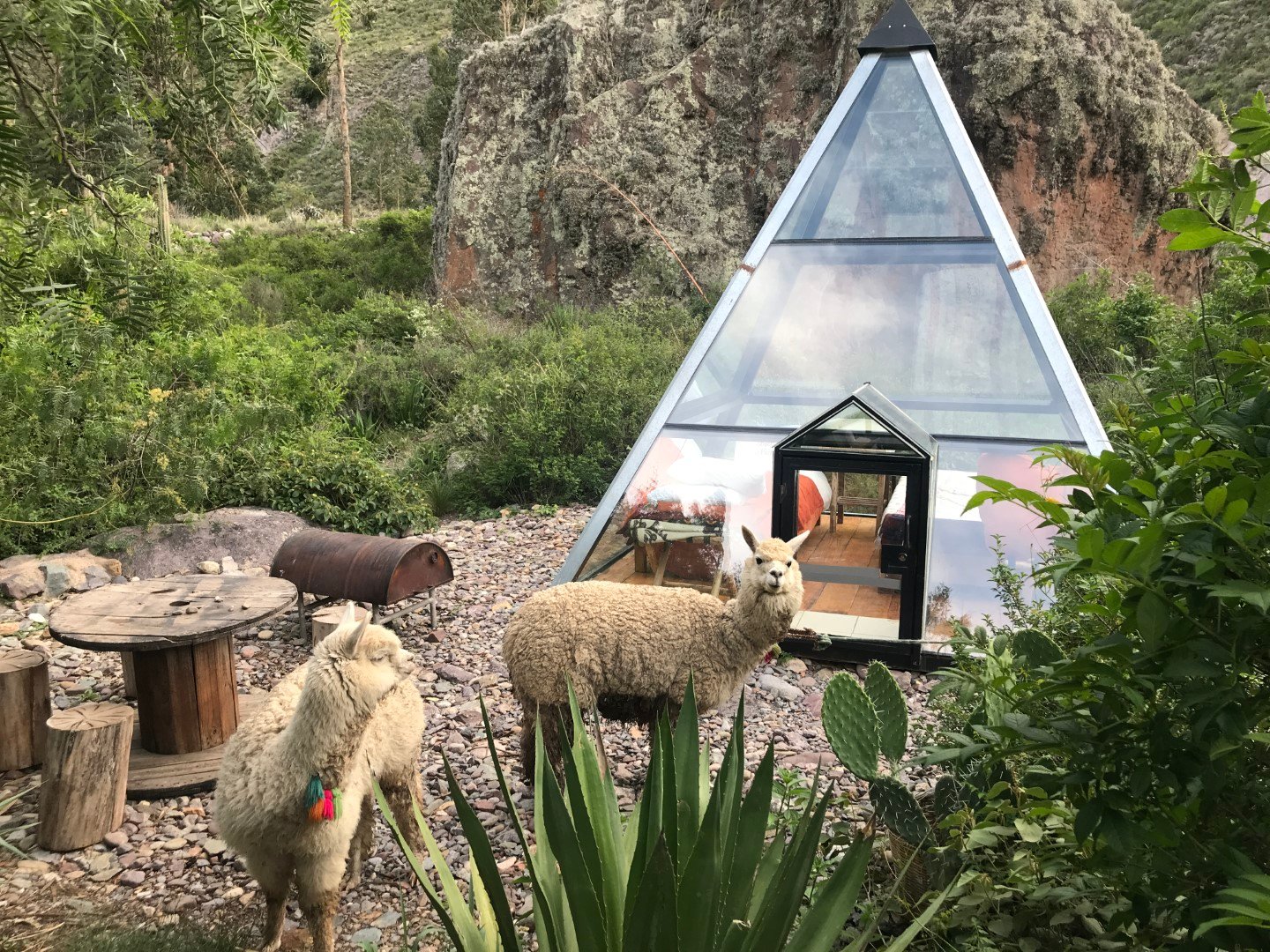  Pirámide + Vision 360° + Barbecue